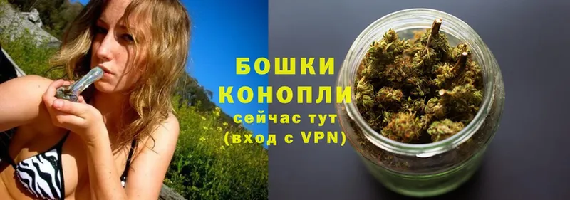 Каннабис OG Kush  Дятьково 